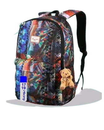 Classic school bags 17