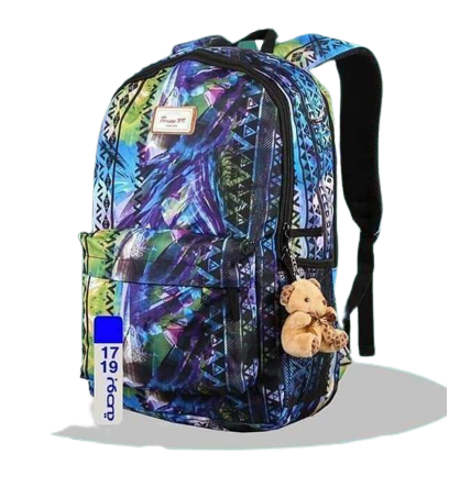 Classic school bags 17