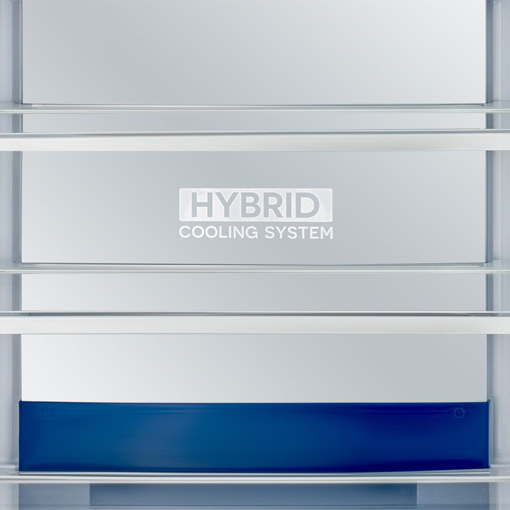 ثلاجة شارب انفرتر نوفروست 538 لتر بتقنيات التبريد المتقدمة، مع تصميم زجاجي أنيق وكفاءة عالية، Sharp No-Frost 538L with inverter technology and premium cooling.